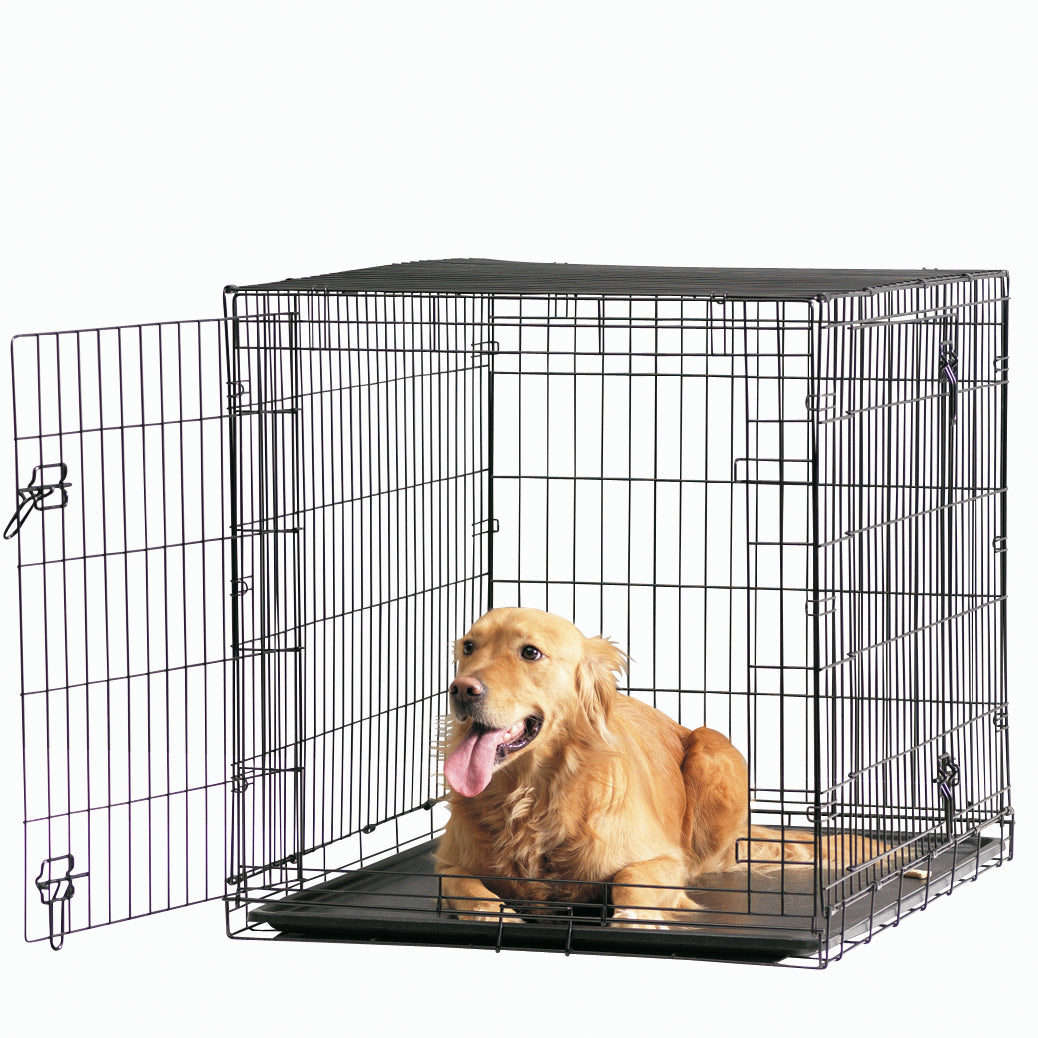 Savic Dog Cottage Crate 107cm in black metal with front door open and a Golden Retriever lying inside