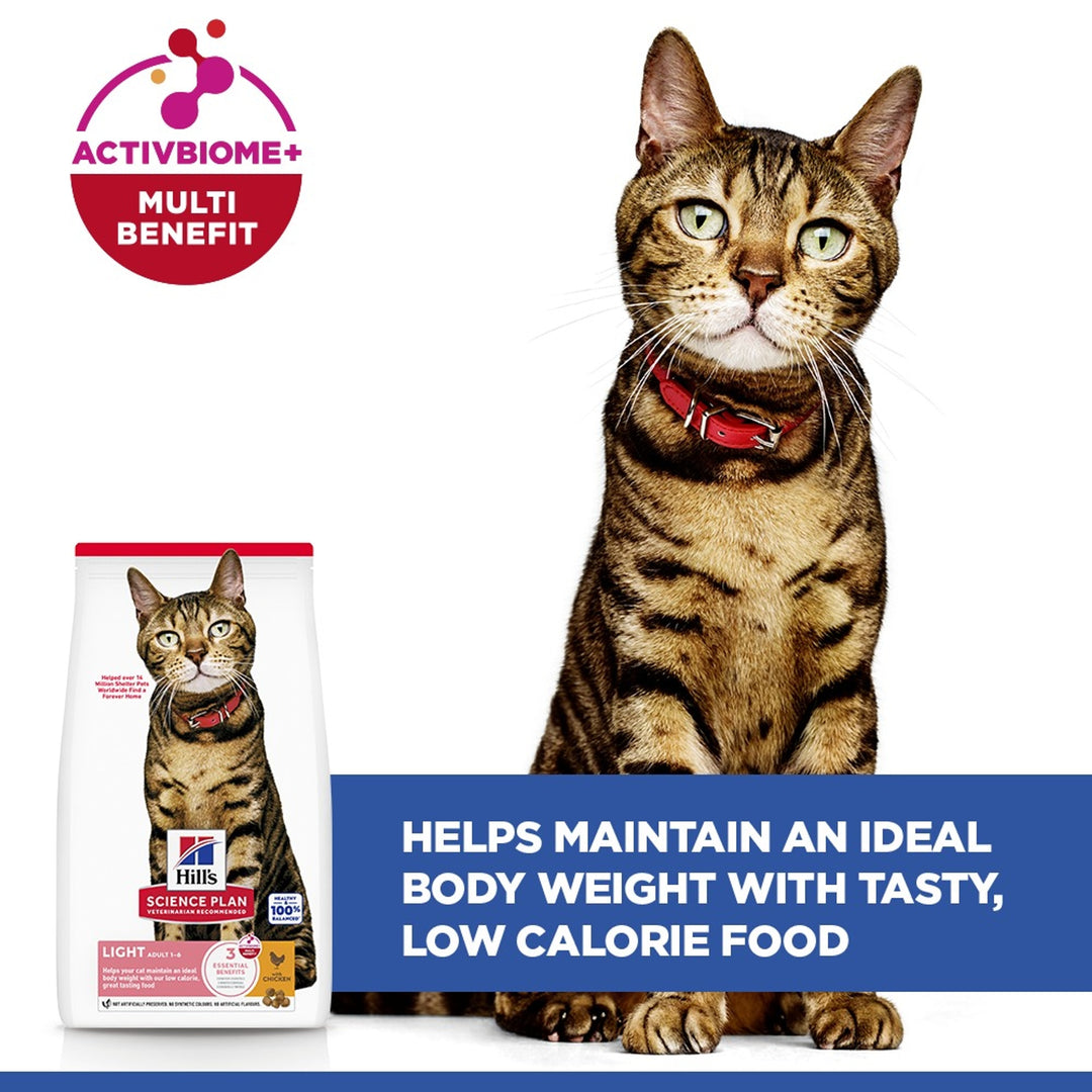 Tabby cat with Hill's Science Plan Light Adult chicken bag, helps maintain an ideal body weight