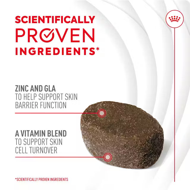 Royal Canin Adult Skin & Coat Supplement 240g