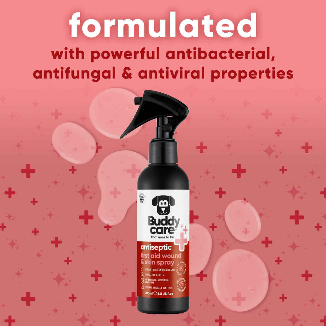 Buddycare antiseptic spray with antibacterial, antifungal and antiviral properties