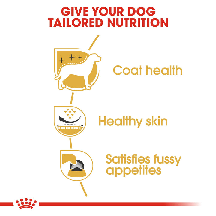 Royal Canin West Highland White Terrier Adult benefits: coat health, healthy skin, satisfies fussy appetites
