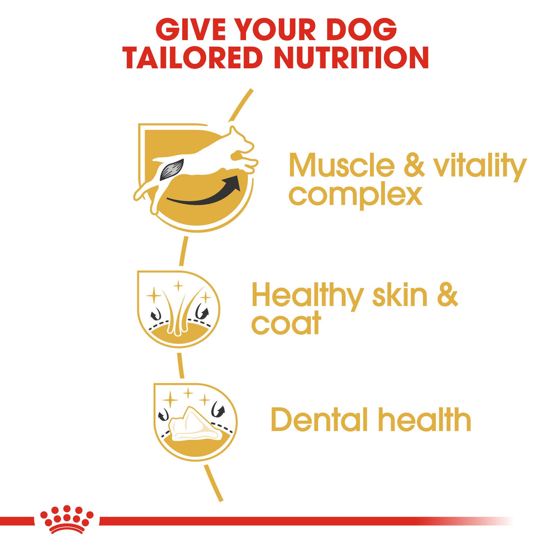 Royal Canin Jack Russell Terrier Adult benefits: muscle and vitality, healthy skin and coat, dental health