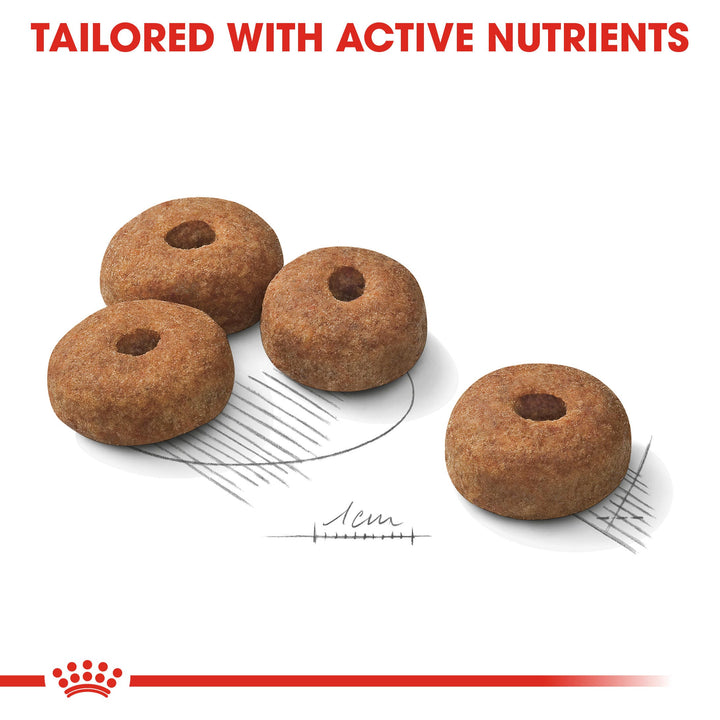 Royal Canin Maxi Sterilised kibble close up, tailored with active nutrients