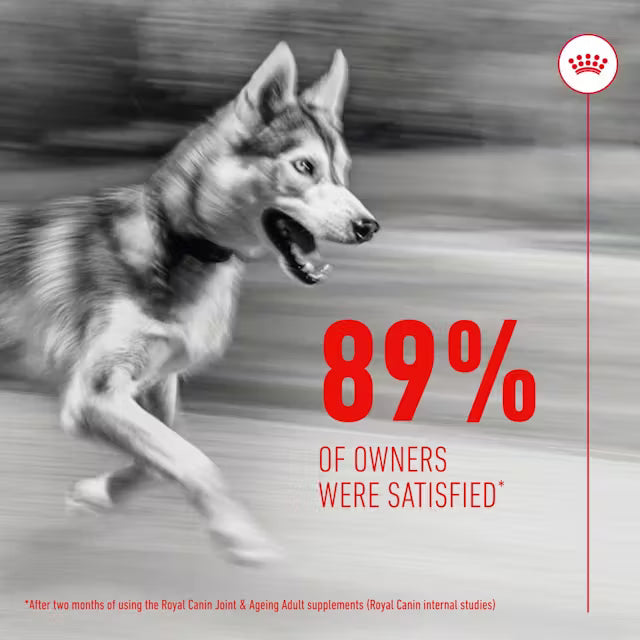 Royal Canin Joint & Ageing Supplements 240g