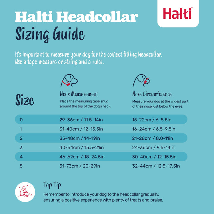 Halti Dog Head Collar Black Size 5