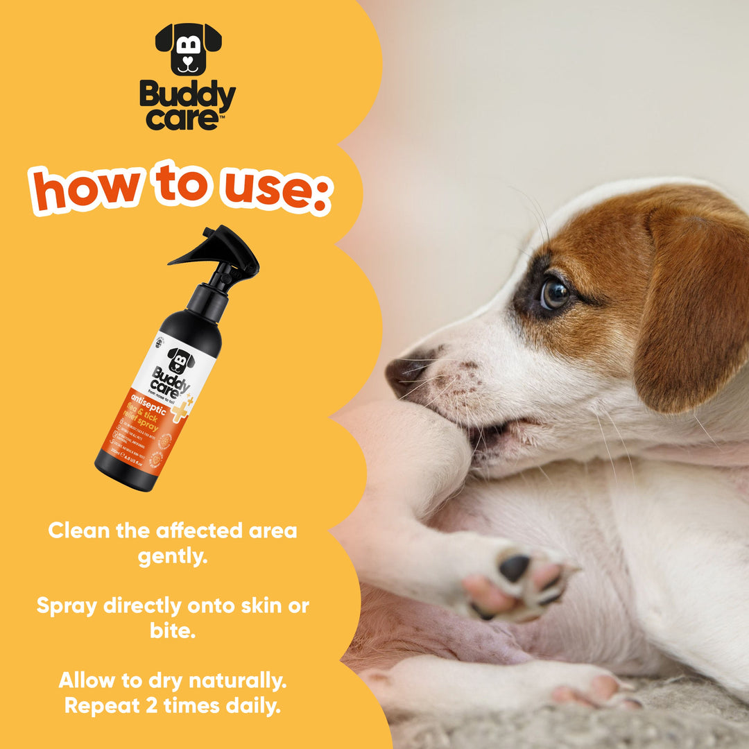 How to use Buddycare Antiseptic Flea & Tick Spray: clean area, spray onto skin or bite, allow to dry, repeat twice daily
