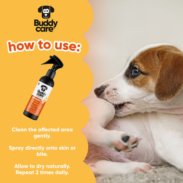 How to use Buddycare Antiseptic Flea & Tick Spray: clean area, spray onto skin or bite, allow to dry, repeat twice daily