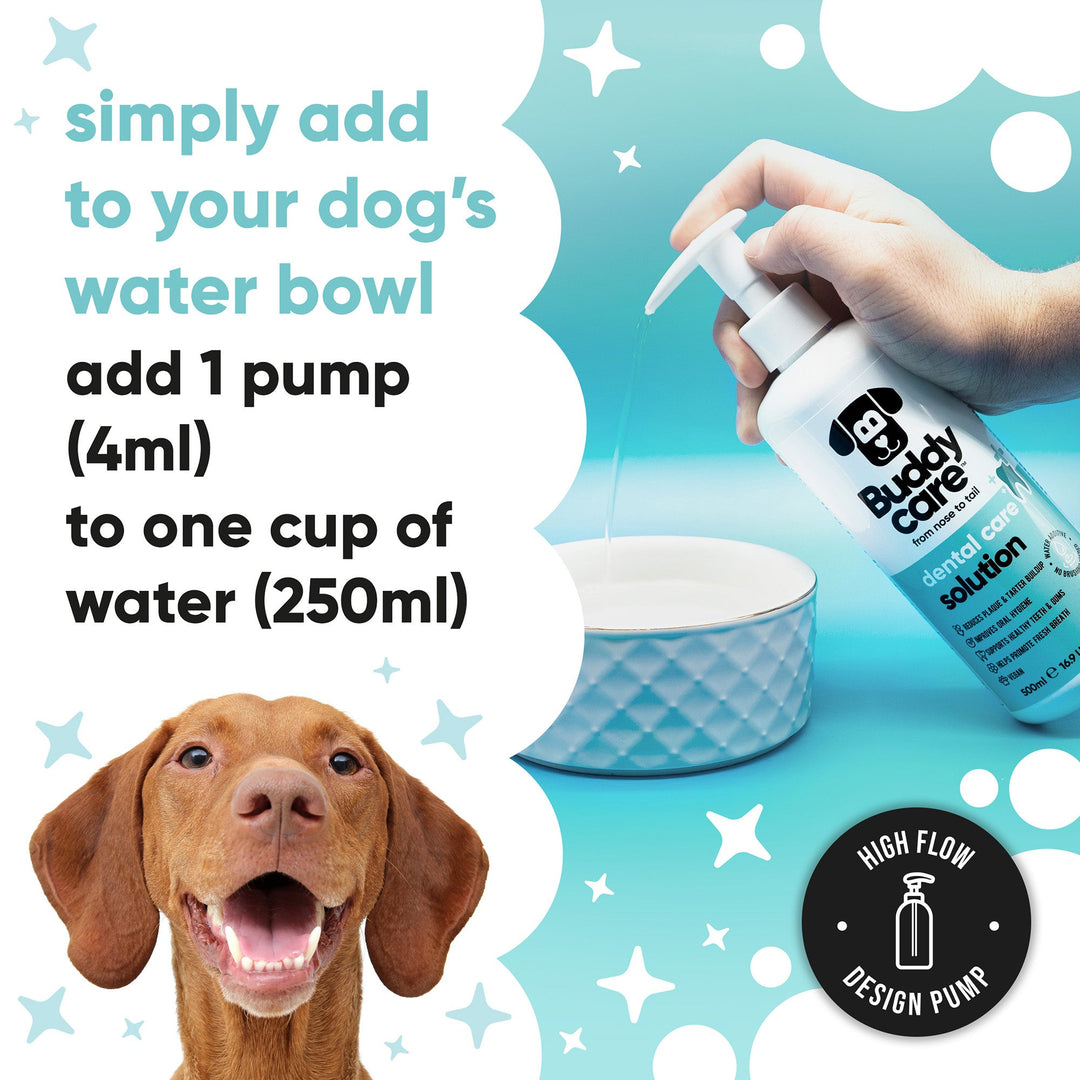How to use Buddycare Dog Dental Care Solution: add 1 pump (4ml) to one cup (250ml) of drinking water