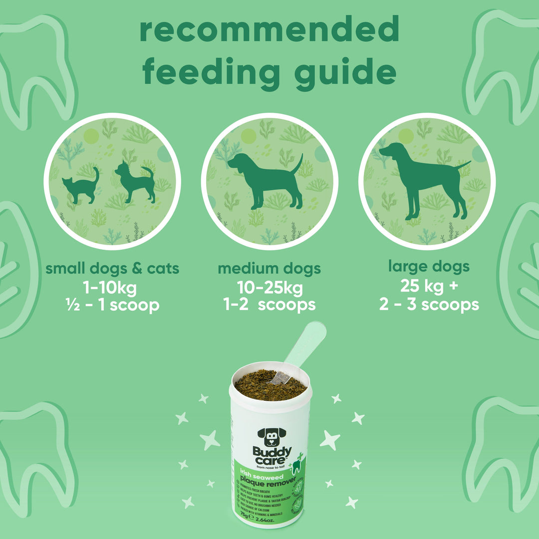 Buddycare Irish Seaweed Plaque Remover feeding guide: scoops per day for small, medium and large dogs and cats