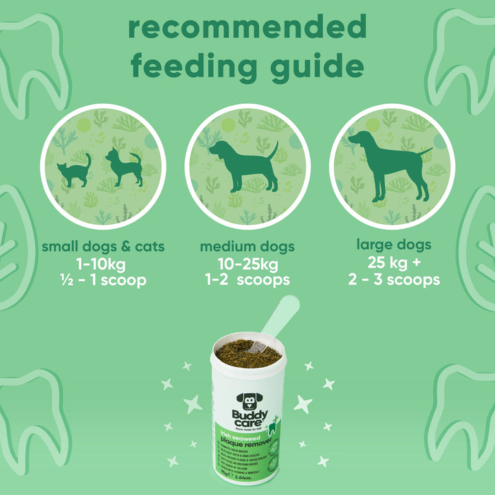 Buddycare Irish Seaweed Plaque Remover feeding guide: scoops per day for small, medium and large dogs and cats