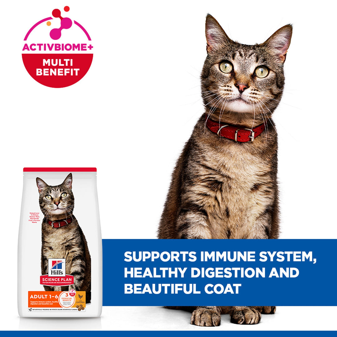 Tabby cat with Hill's Science Plan Adult chicken bag, ActivBiome+ supports immune system, digestion and coat