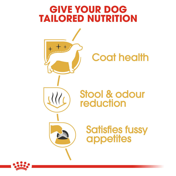 Royal Canin Maltese Adult benefits: coat health, stool and odour reduction, satisfies fussy appetites