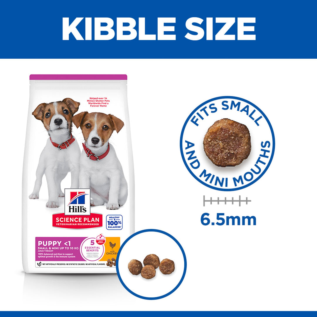 Hill's Science Plan Small & Mini Puppy kibble size graphic, 6.5mm kibble for small mouths