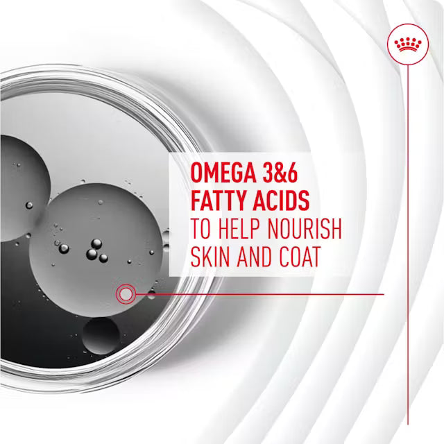 Royal Canin Adult Skin & Coat Supplement 240g