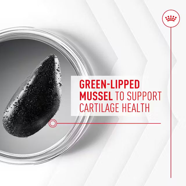 Royal Canin Joint & Ageing Supplements 240g