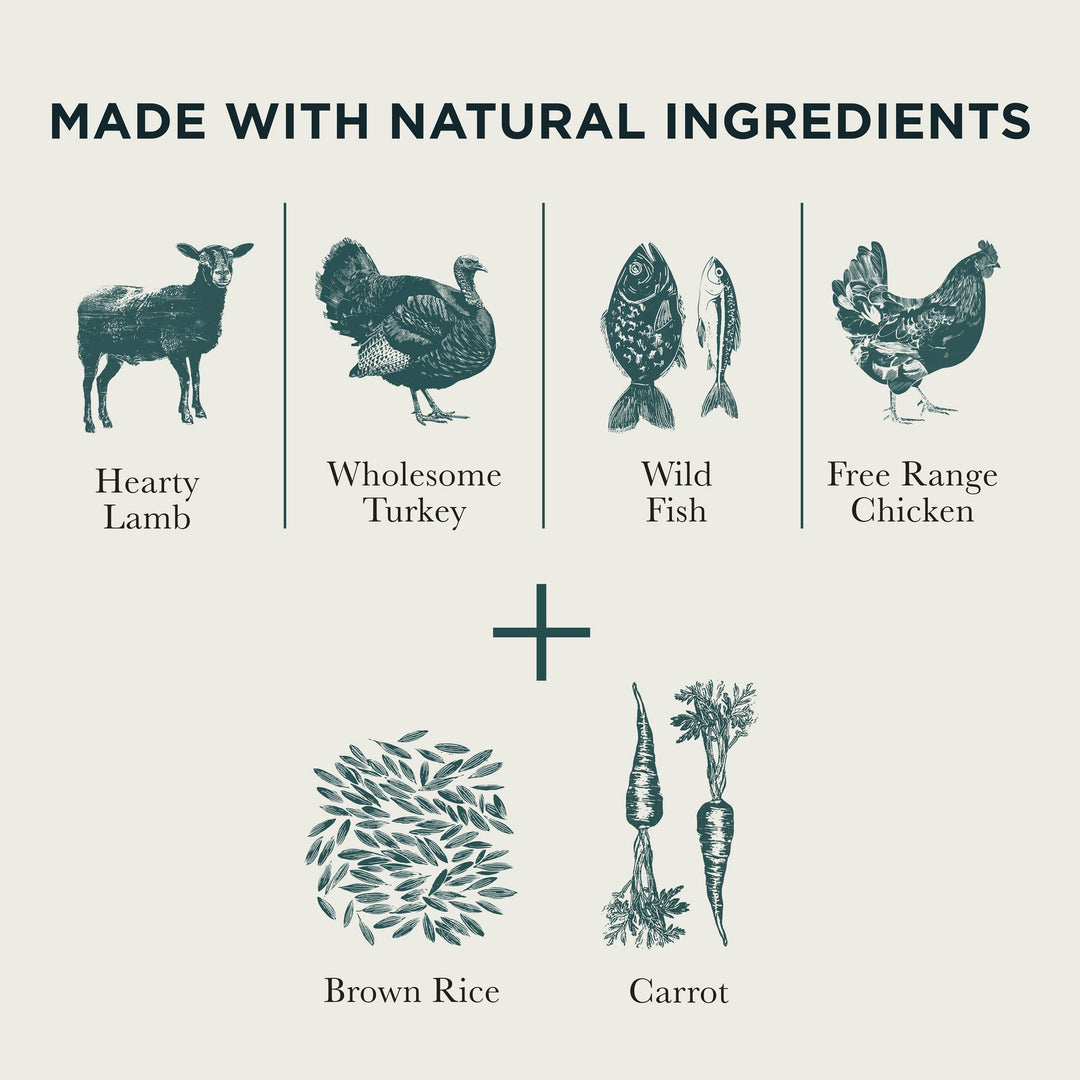 Burns Variety Box natural ingredients: hearty lamb, wholesome turkey, wild fish, free range chicken, brown rice and carrot