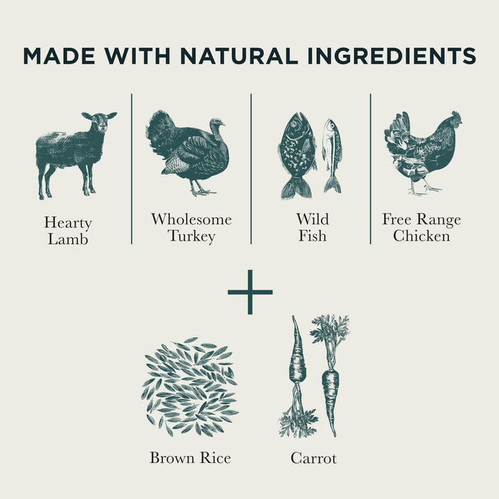 Burns Variety Box natural ingredients: hearty lamb, wholesome turkey, wild fish, free range chicken, brown rice and carrot