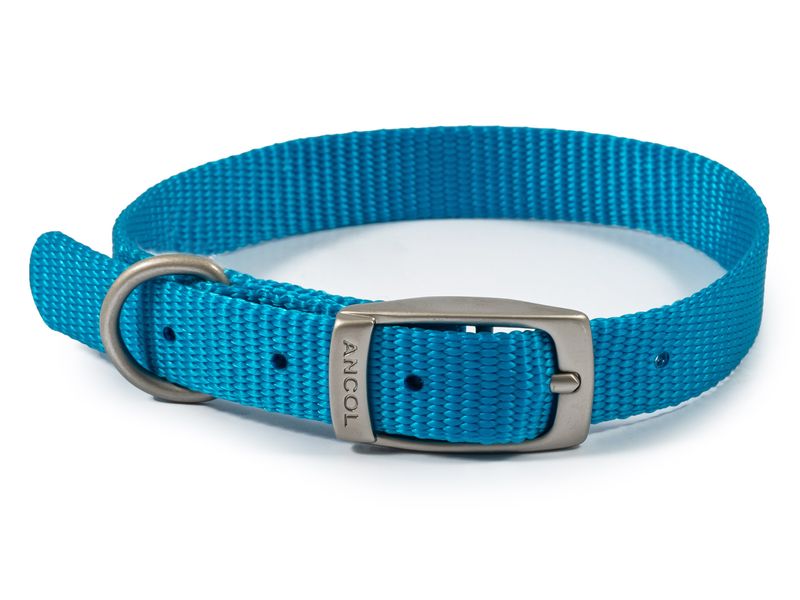 blue ancol nylon dog collar