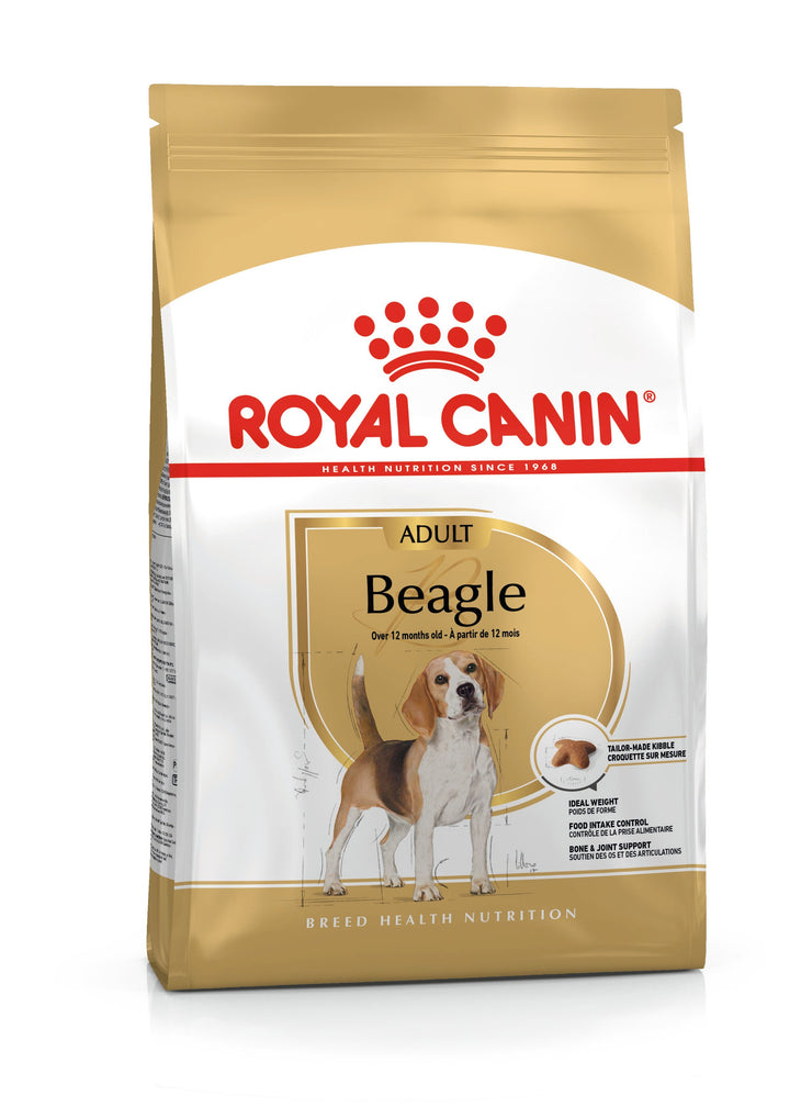Royal Canin Beagle Adult dry dog food bag, front of pack