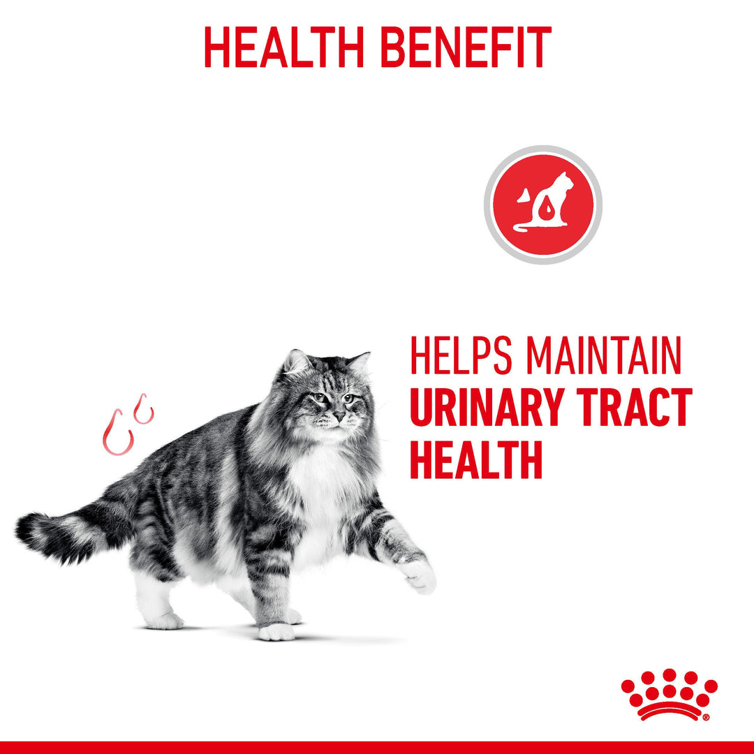 Royal Canin Urinary Care helps maintain urinary tract health