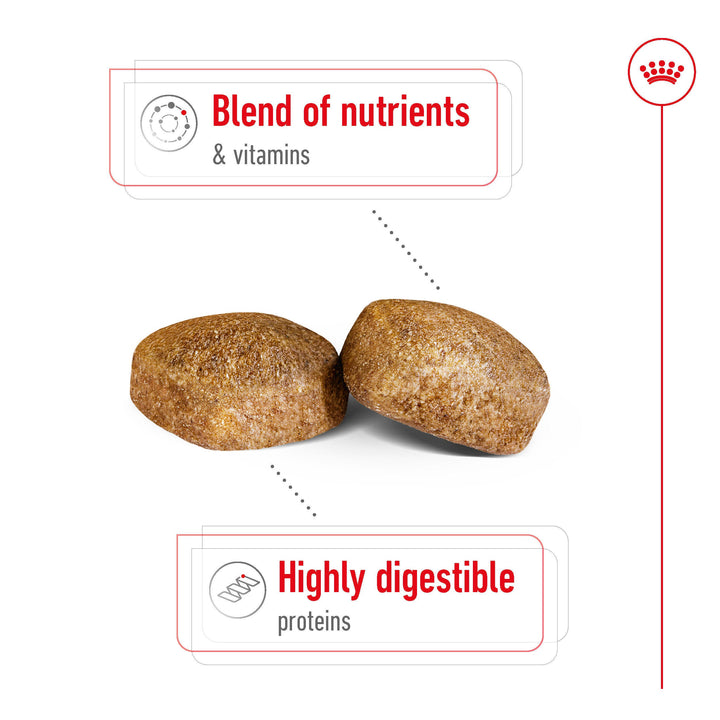 Royal Canin Giant Adult kibble with blend of nutrients and highly digestible proteins