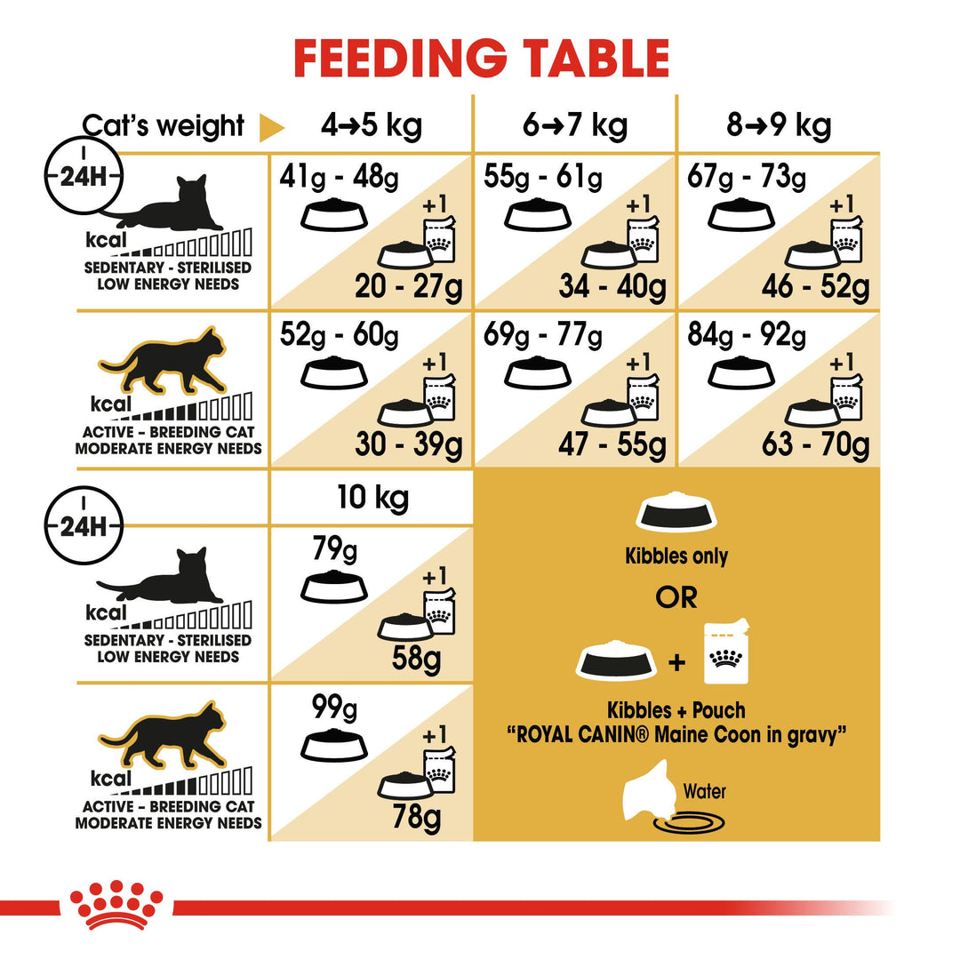 Royal Canin Maine Coon Adult feeding table by cat weight and activity