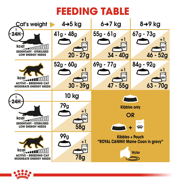 Royal Canin Maine Coon Adult feeding table by cat weight and activity