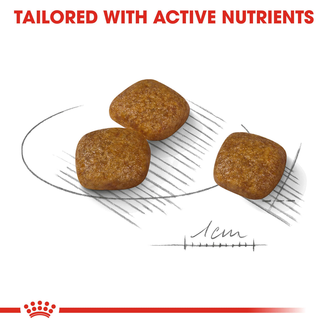 Royal Canin Mini Urinary Care kibble tailored with active nutrients