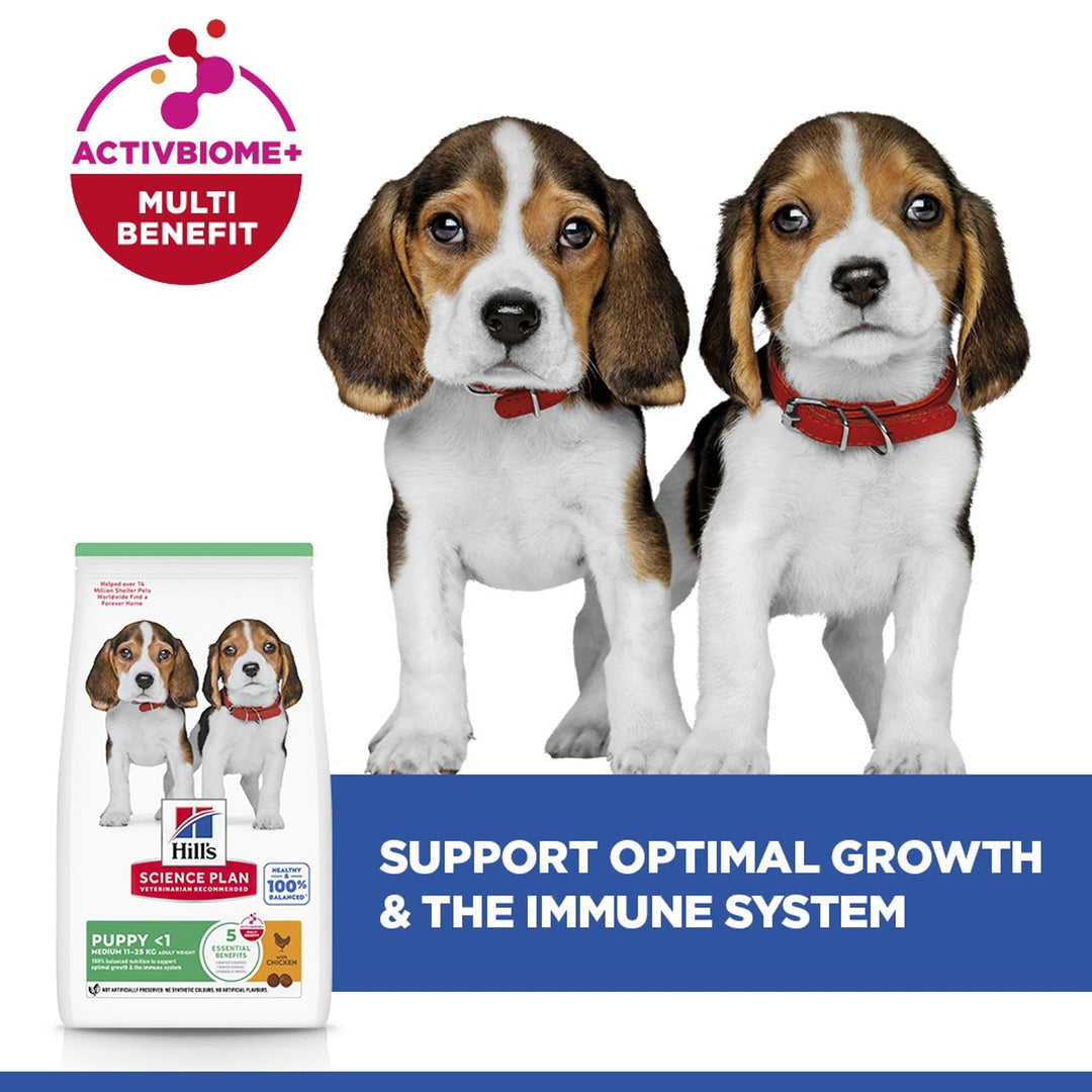 Hill's Science Plan Medium Puppy with ActivBiome+ Multi Benefit to support optimal growth and the immune system