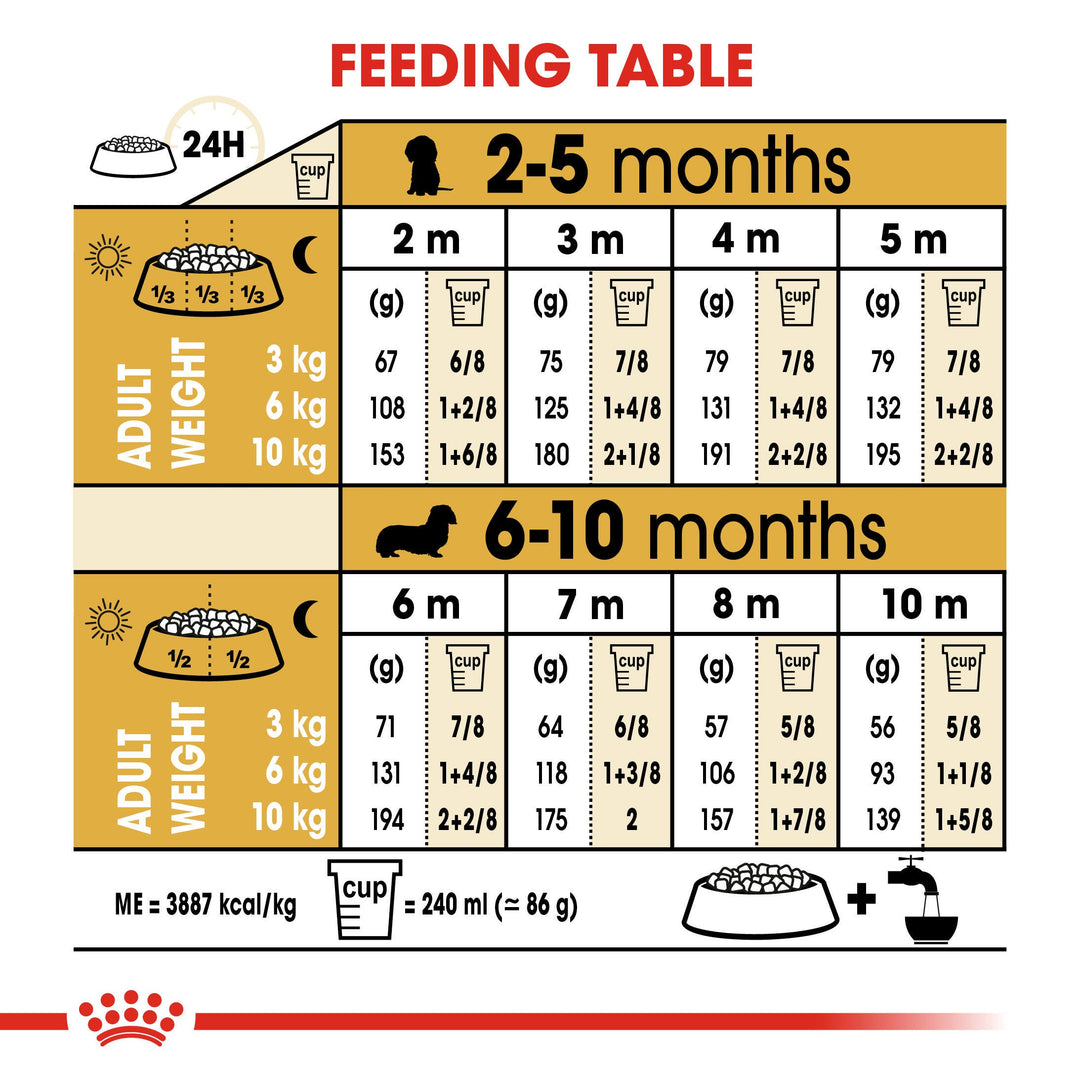 Royal Canin Dachshund Puppy feeding table by age and expected adult weight