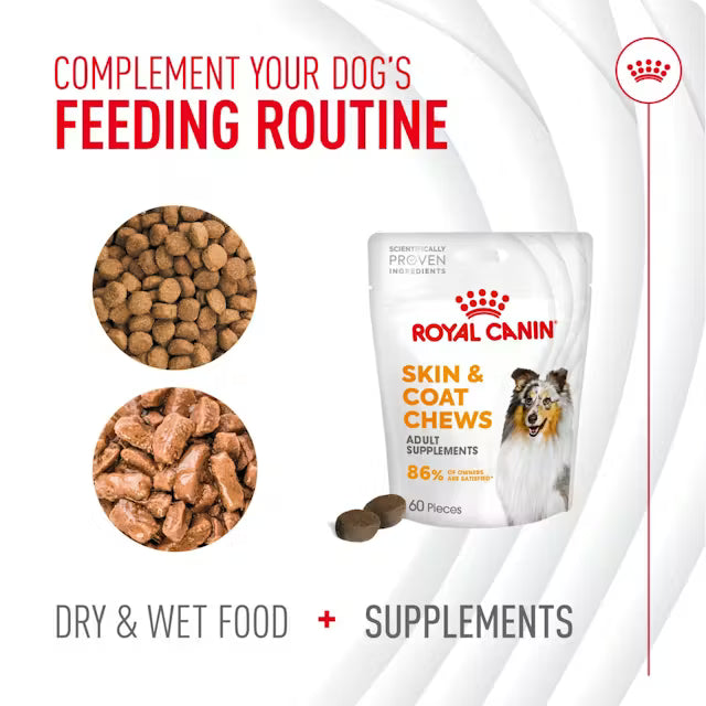 Royal Canin Adult Skin & Coat Supplement 240g
