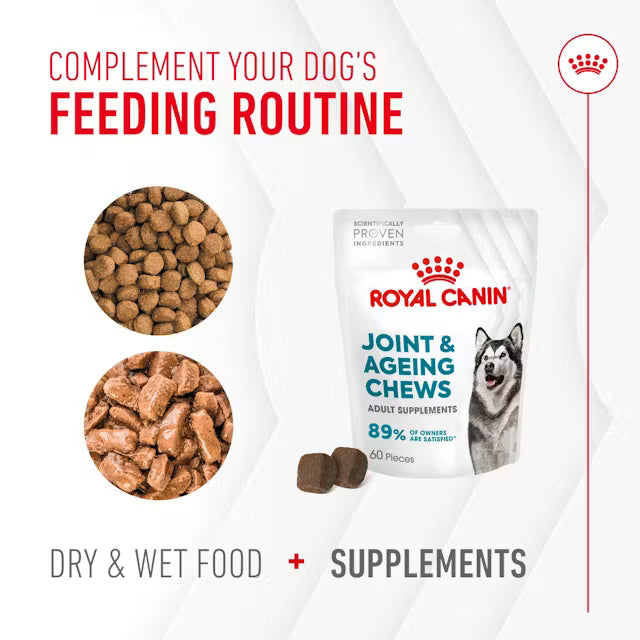 Royal Canin Joint & Ageing Supplements 240g