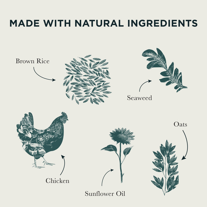 Burns natural ingredients: chicken, brown rice, oats, seaweed and sunflower oil