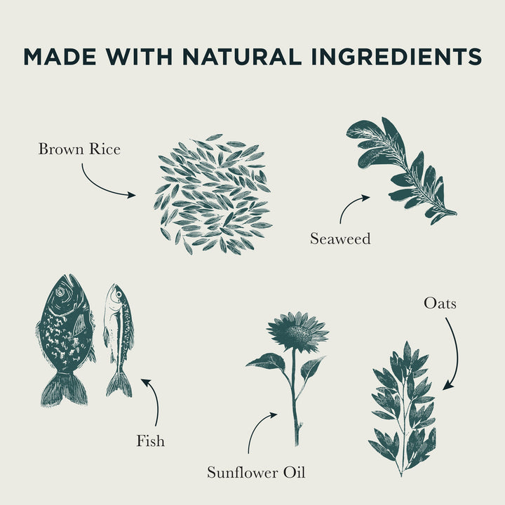 Burns Original Fish & Brown Rice natural ingredients: brown rice, seaweed, fish, sunflower oil and oats