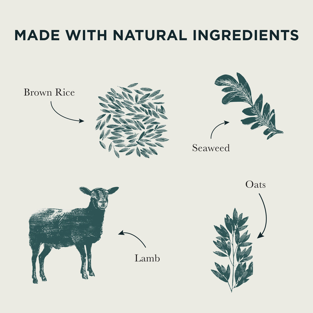 Burns Original Lamb & Brown Rice natural ingredients: brown rice, seaweed, lamb and oats