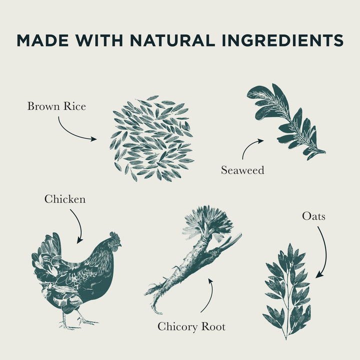 Burns Puppy Original Chicken & Rice natural ingredients: brown rice, seaweed, chicken, chicory root and oats