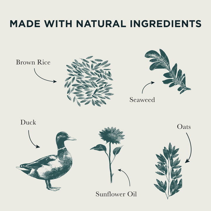 Burns Sensitive Duck & Brown Rice natural ingredients: brown rice, seaweed, duck, sunflower oil and oats
