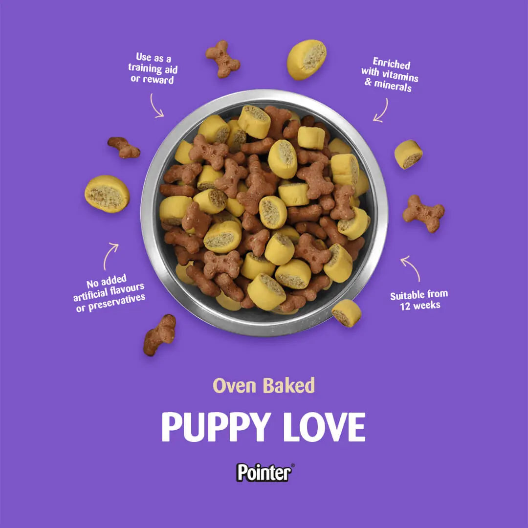 Bowl of Pointer Puppy Love oven baked biscuits: training aid or reward, enriched with vitamins and minerals, suitable from 12 weeks