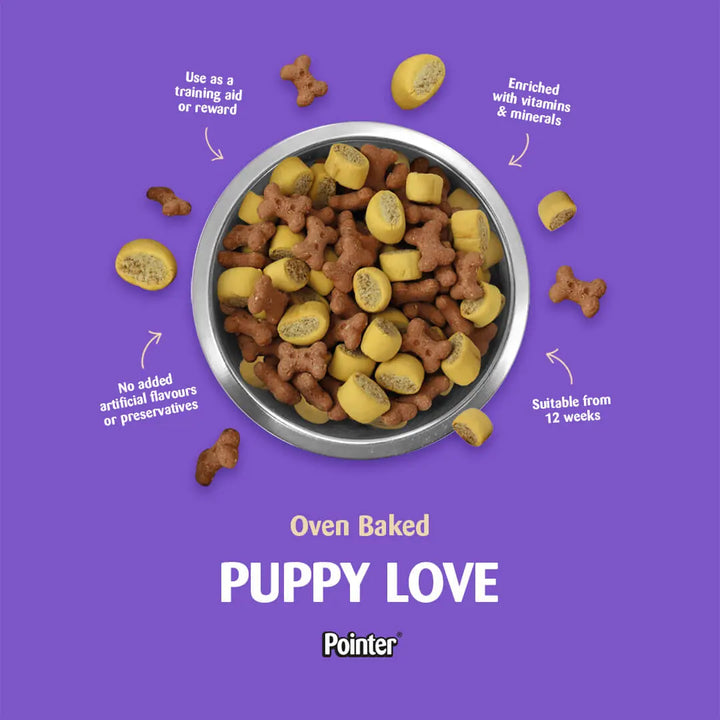 Bowl of Pointer Puppy Love oven baked biscuits: training aid or reward, enriched with vitamins and minerals, suitable from 12 weeks