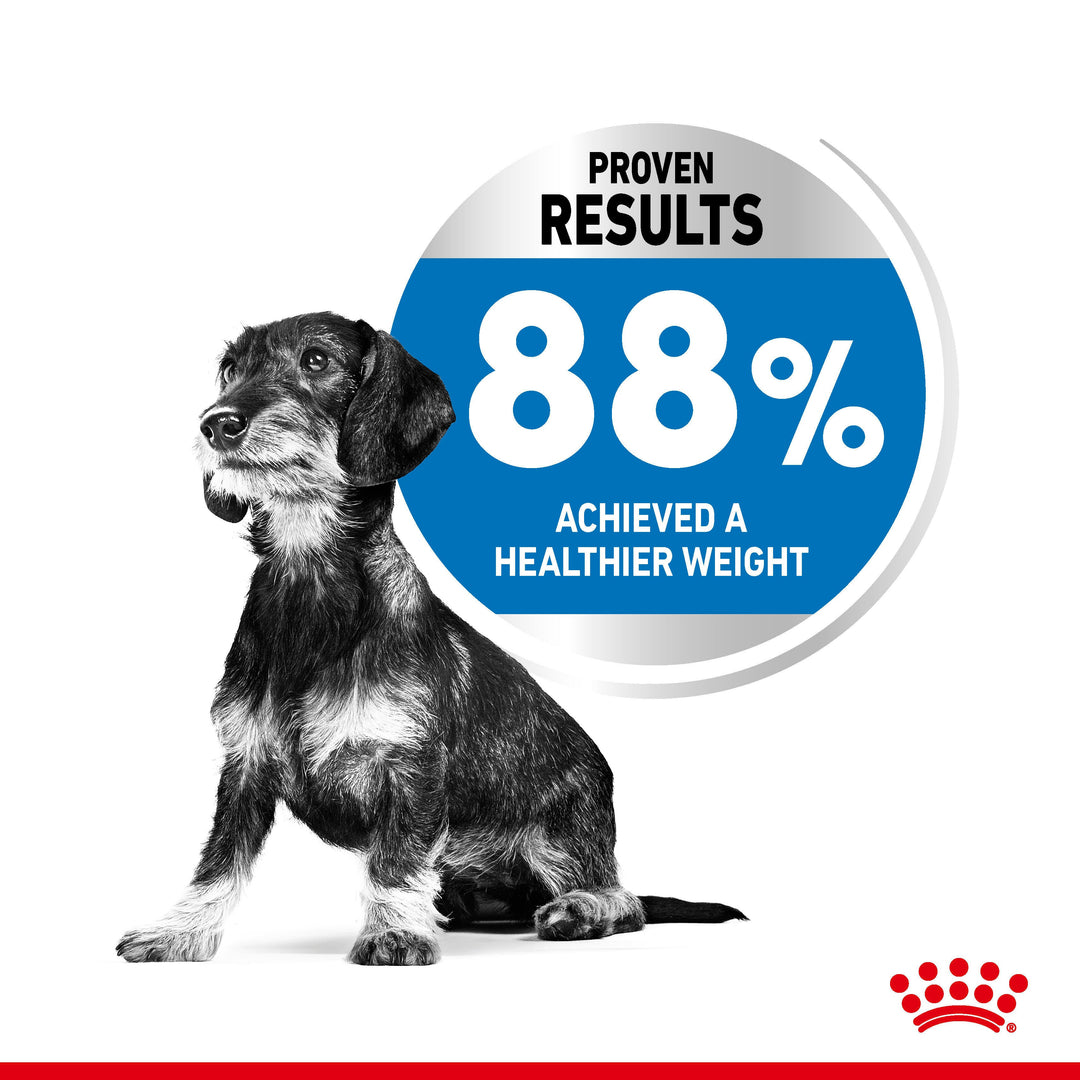 Royal Canin Mini Light Weight Care proven results: 88% of dogs achieved a healthier weight