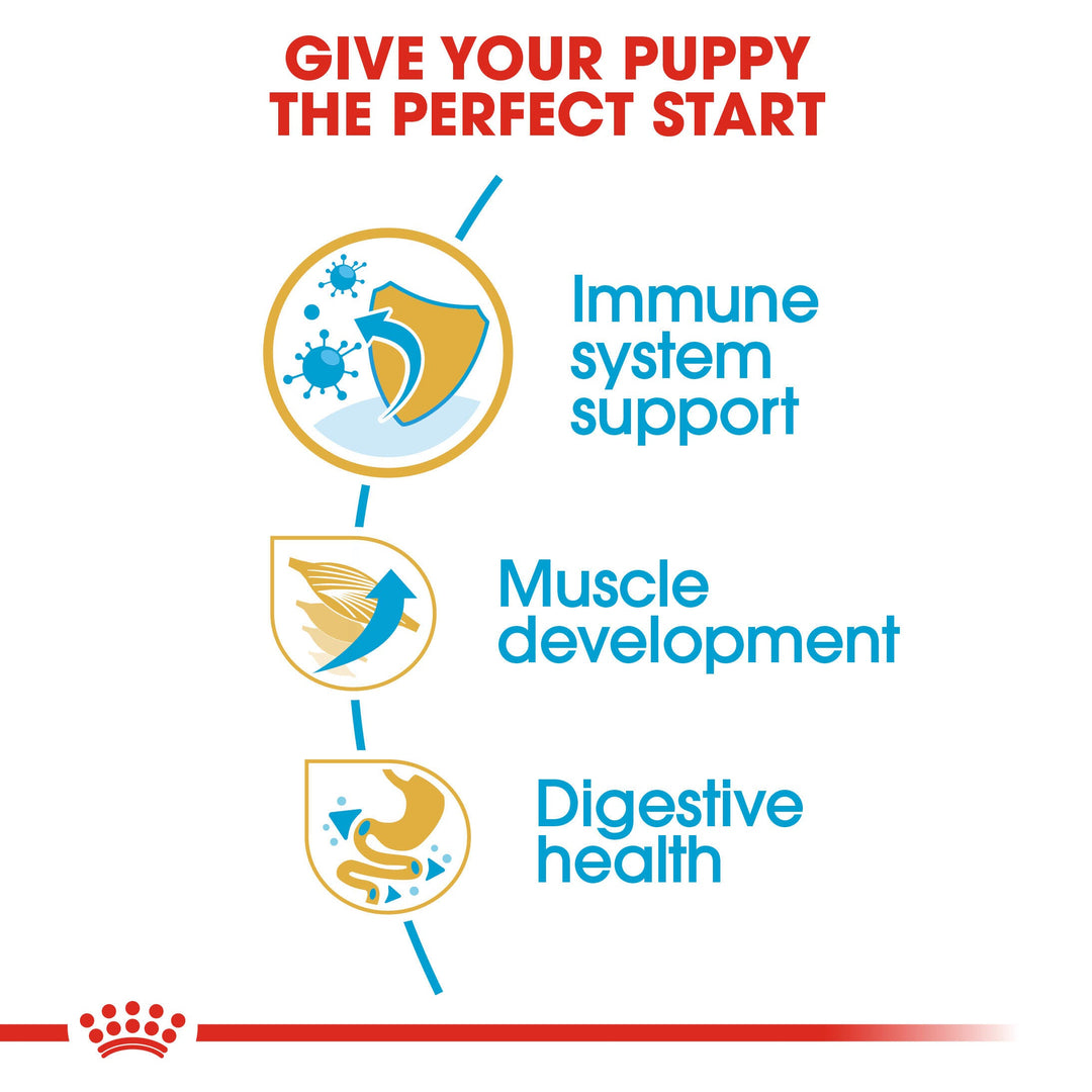 Royal Canin Boxer Puppy benefits: immune system support, muscle development, digestive health