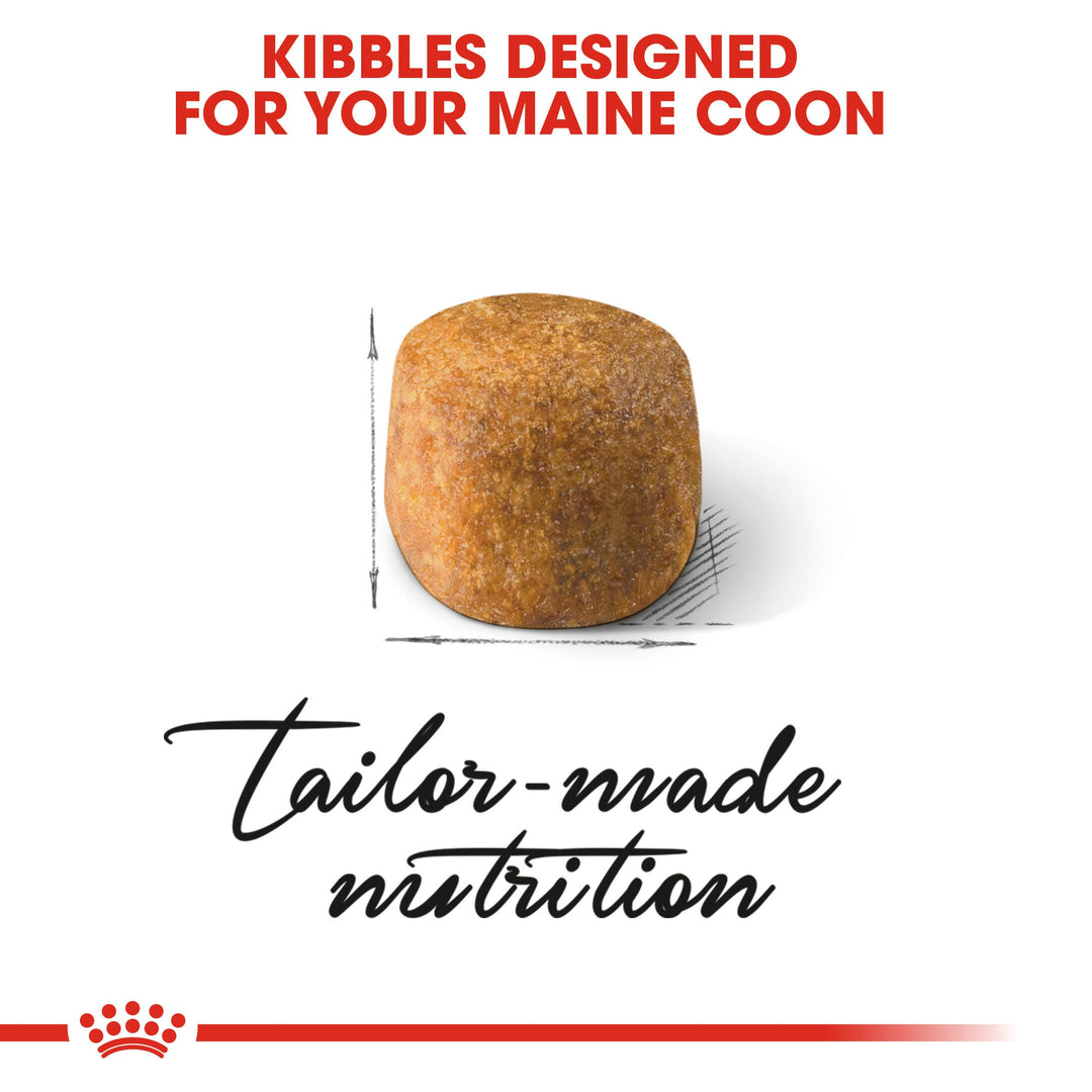Royal Canin Maine Coon Adult king size kibble designed for the Maine Coon jaw