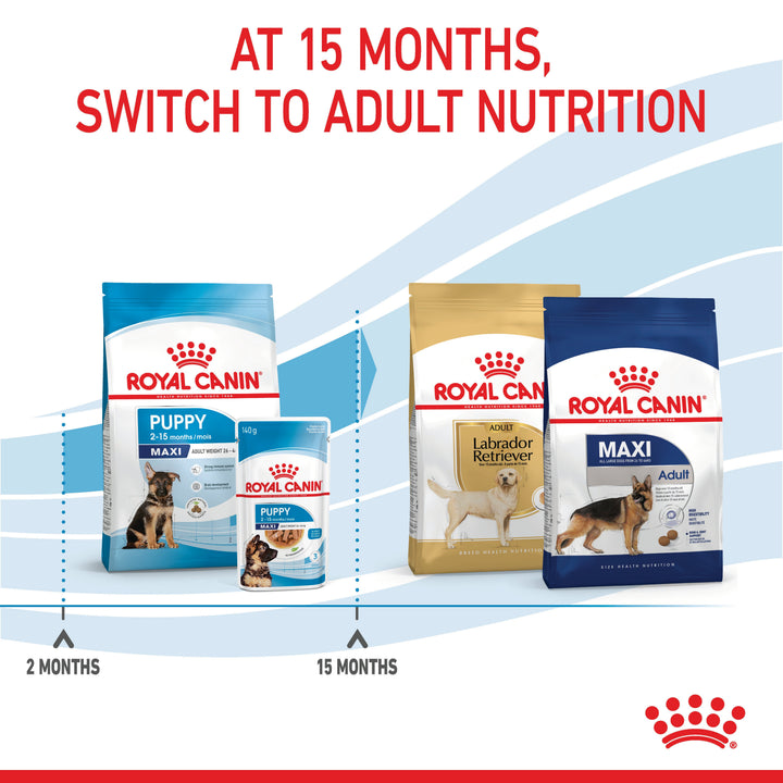Royal Canin Maxi Puppy from 2 months, switch to adult nutrition at 15 months
