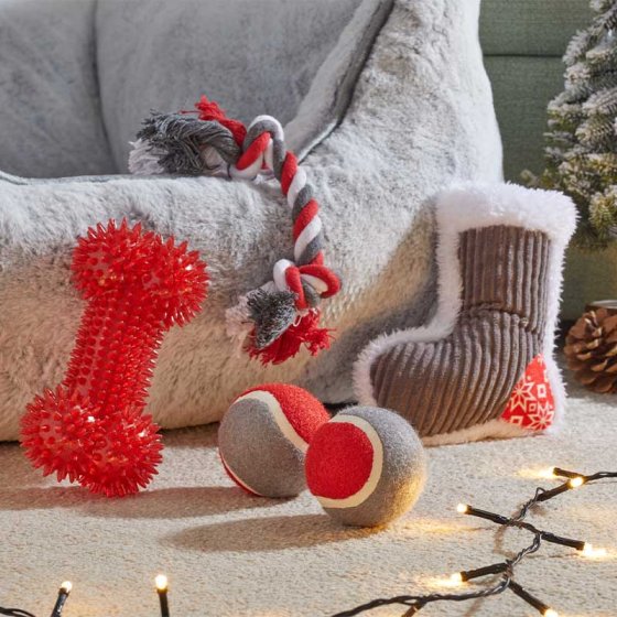 My Dog's Christmas Toy Pack