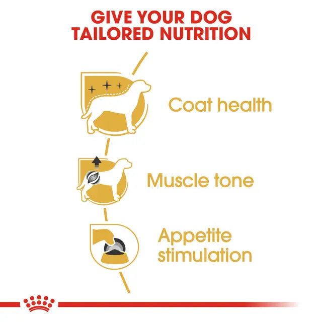 tailored nutrition benefits a dog's coat health, muscle tone, and appetite stimulation 