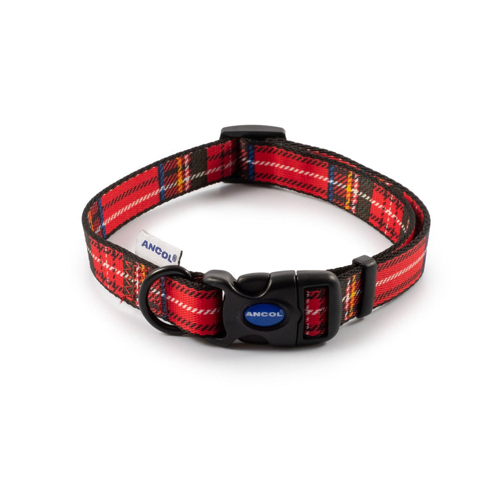 Soho Stripe Nylon Adjustable Dog Collar