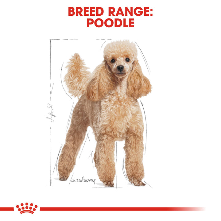 Poodle, Royal Canin breed range