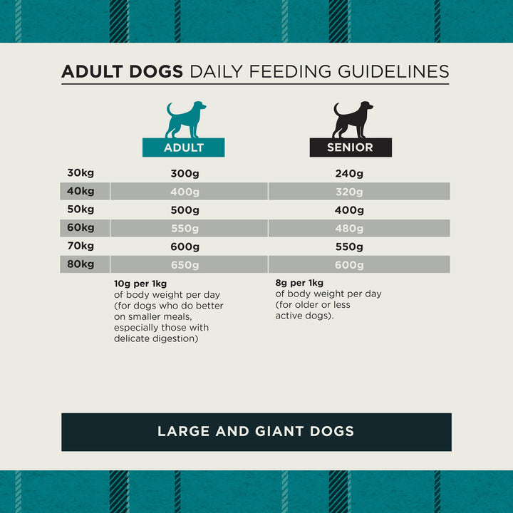 Burns large and giant dog daily feeding guide by body weight, adult and senior