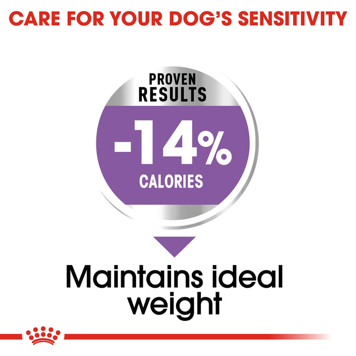 Royal Canin Maxi Sterilised dry dog food: proven results, 14% fewer calories to help maintain ideal weight