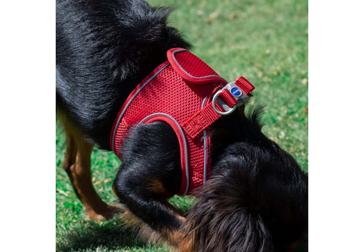 Ancol Viva Step-in Harness Red